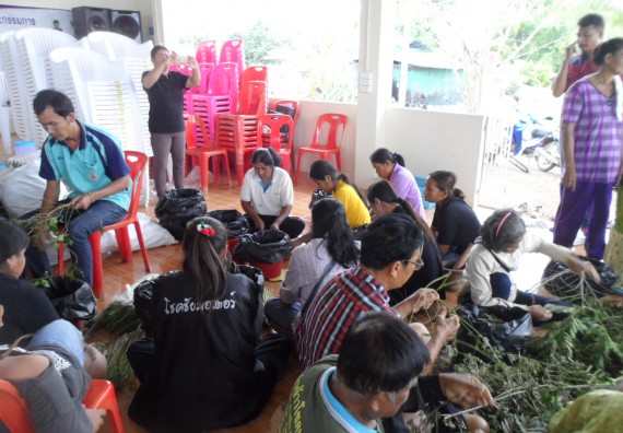 ภาพกิจกรรม โปรแกรมวิชาเกษตรศาสตร์ จัดการอบรม ในเรื่อง การทำน้ำยาไล่แมลง