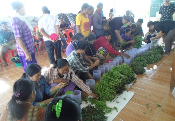 ภาพกิจกรรม โปรแกรมวิชาเกษตรศาสตร์ จัดการอบรม ในเรื่อง การทำน้ำยาไล่แมลง