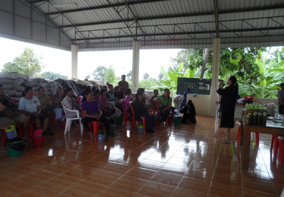 ภาพกิจกรรม โปรแกรมวิชาเกษตรศาสตร์ จัดการอบรม ในเรื่อง การทำน้ำยาไล่แมลง