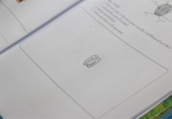 ภาพกิจกรรม ค่ายวิทยาศาสตร์รุ่นจิ๋ว โรงเรียนอนุบาลกำแพงเพชร 