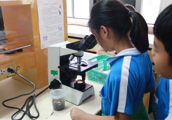 ภาพกิจกรรม ค่ายวิทยาศาสตร์รุ่นจิ๋ว โรงเรียนอนุบาลกำแพงเพชร 