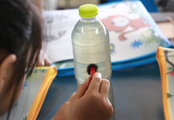 ภาพกิจกรรม ค่ายวิทยาศาสตร์รุ่นจิ๋ว โรงเรียนอนุบาลกำแพงเพชร 