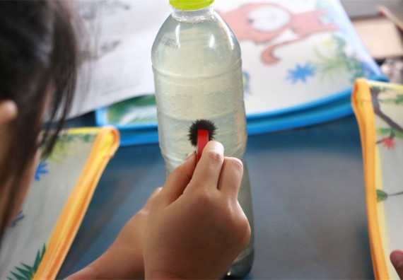 ภาพกิจกรรม ค่ายวิทยาศาสตร์รุ่นจิ๋ว โรงเรียนอนุบาลกำแพงเพชร 