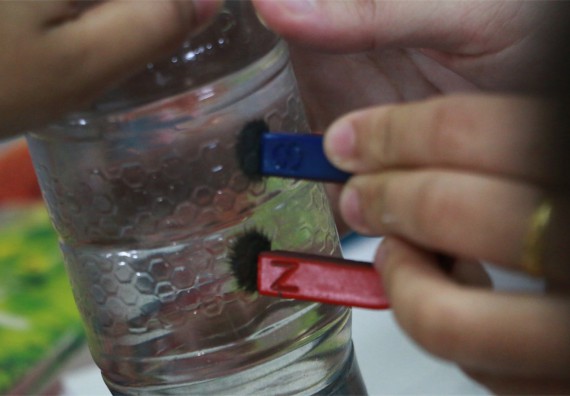 ภาพกิจกรรม ค่ายวิทยาศาสตร์รุ่นจิ๋ว โรงเรียนอนุบาลกำแพงเพชร 