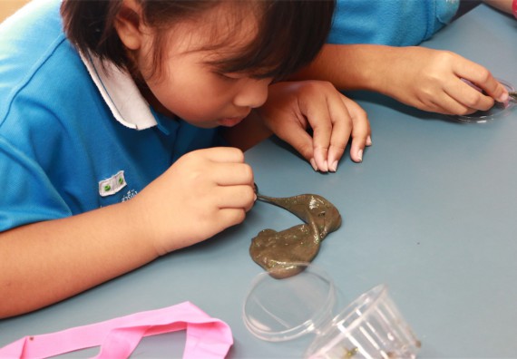 ภาพกิจกรรม ค่ายวิทยาศาสตร์รุ่นจิ๋ว โรงเรียนอนุบาลกำแพงเพชร 