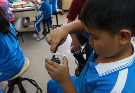 ภาพกิจกรรม ค่ายวิทยาศาสตร์รุ่นจิ๋ว โรงเรียนอนุบาลกำแพงเพชร 