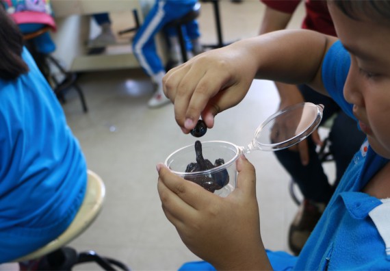 ภาพกิจกรรม ค่ายวิทยาศาสตร์รุ่นจิ๋ว โรงเรียนอนุบาลกำแพงเพชร 