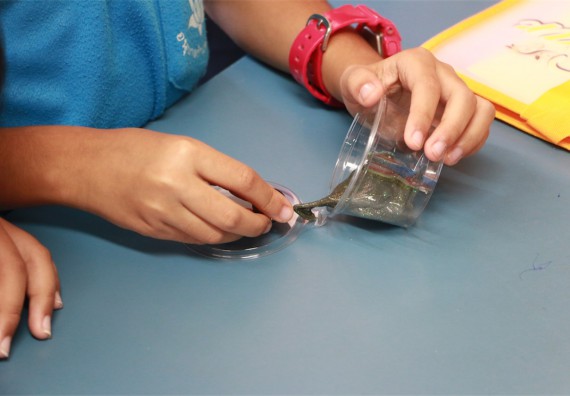 ภาพกิจกรรม ค่ายวิทยาศาสตร์รุ่นจิ๋ว โรงเรียนอนุบาลกำแพงเพชร 