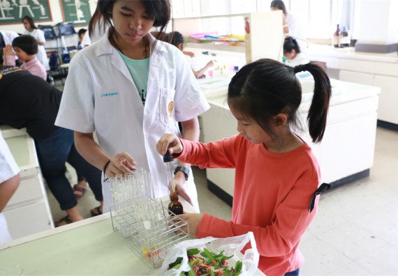 ภาพกิจกรรม ค่ายวิทยาศาสตร์รุ่นจิ๋ว โรงเรียนอนุบาลกำแพงเพชร 