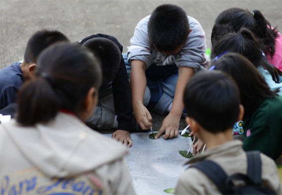 ภาพกิจกรรม ค่ายวิทยาศาสตร์รุ่นจิ๋ว โรงเรียนอนุบาลกำแพงเพชร 