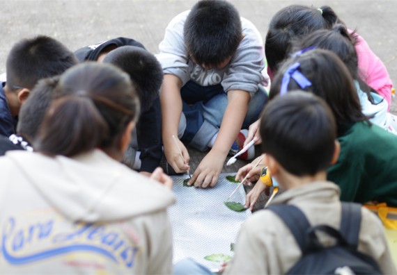 ภาพกิจกรรม ค่ายวิทยาศาสตร์รุ่นจิ๋ว โรงเรียนอนุบาลกำแพงเพชร 