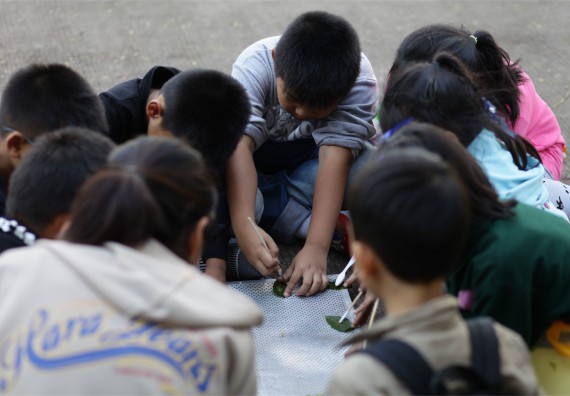 ภาพกิจกรรม ค่ายวิทยาศาสตร์รุ่นจิ๋ว โรงเรียนอนุบาลกำแพงเพชร 