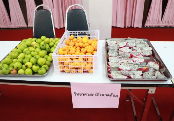 ภาพกิจกรรม คณะวิทยาศาสตร์และเทคโนโลยี จัดงานปีใหม่คณะวิทยาศาสตร์และเทคโนโลยี