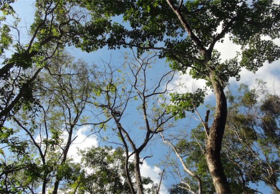 ภาพกิจกรรม โปรแกรมวิชาวิทยาการคอมพิวเตอร์ จัดโครงการเสริมสร้างทักษะการสื่อสารภาษาอังกฤษ