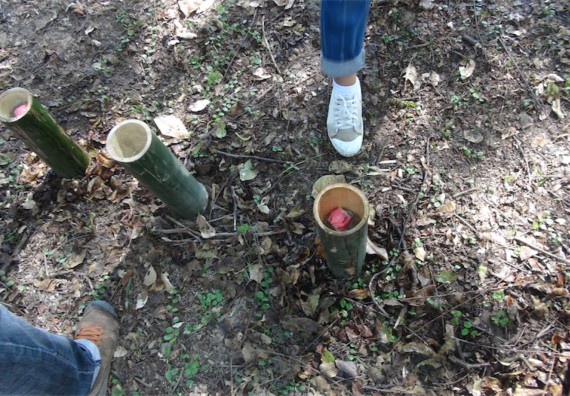 ภาพกิจกรรม โปรแกรมวิชาวิทยาการคอมพิวเตอร์ จัดโครงการเสริมสร้างทักษะการสื่อสารภาษาอังกฤษ