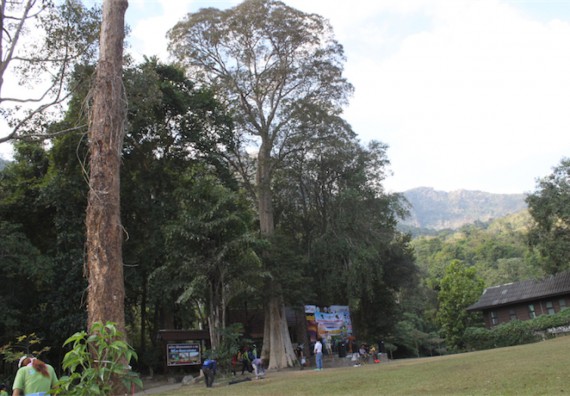 ภาพกิจกรรม โปรแกรมวิชาวิทยาศาสตร์สิ่งแวดล้อม ได้จัดกิจกรรมเรียนรู้นอกสถานที่แบบบูรณาการ