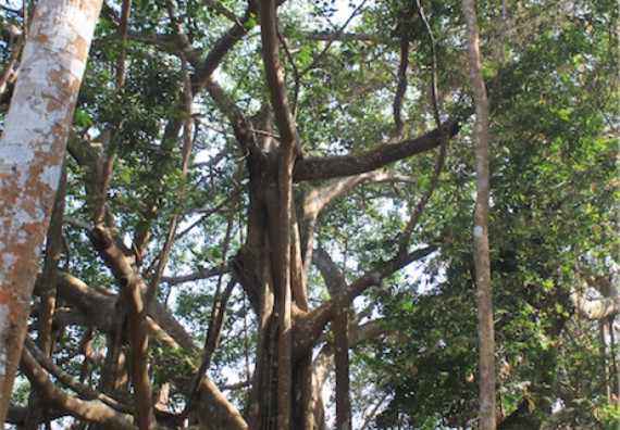 ภาพกิจกรรม โปรแกรมวิชาวิทยาศาสตร์สิ่งแวดล้อม ได้จัดกิจกรรมเรียนรู้นอกสถานที่แบบบูรณาการ