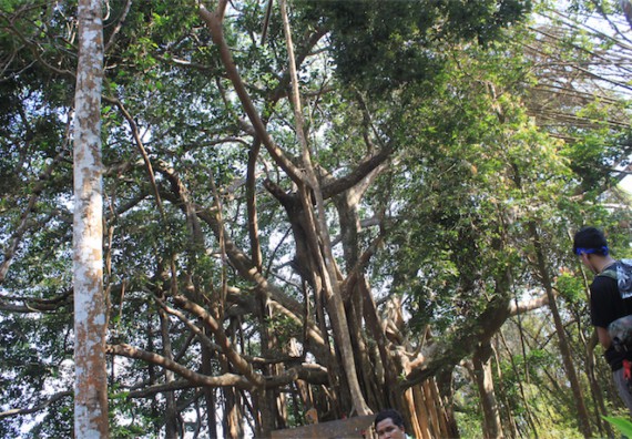 ภาพกิจกรรม โปรแกรมวิชาวิทยาศาสตร์สิ่งแวดล้อม ได้จัดกิจกรรมเรียนรู้นอกสถานที่แบบบูรณาการ