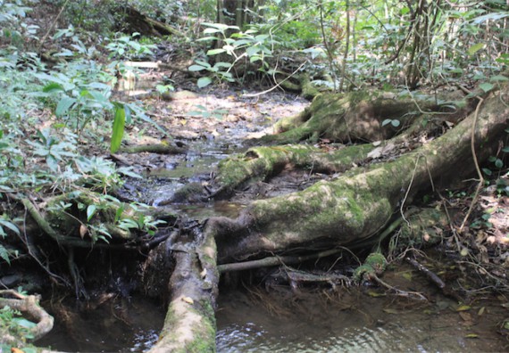 ภาพกิจกรรม โปรแกรมวิชาวิทยาศาสตร์สิ่งแวดล้อม ได้จัดกิจกรรมเรียนรู้นอกสถานที่แบบบูรณาการ