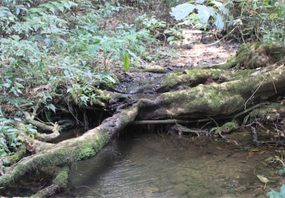 ภาพกิจกรรม โปรแกรมวิชาวิทยาศาสตร์สิ่งแวดล้อม ได้จัดกิจกรรมเรียนรู้นอกสถานที่แบบบูรณาการ