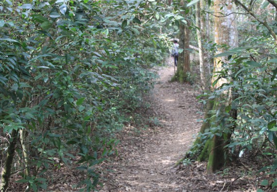 ภาพกิจกรรม โปรแกรมวิชาวิทยาศาสตร์สิ่งแวดล้อม ได้จัดกิจกรรมเรียนรู้นอกสถานที่แบบบูรณาการ