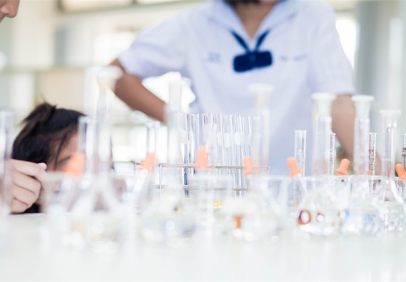 ภาพกิจกรรม โปรแกรมวิชาเคมี จัดการอบรมเชิงปฏิบัติการ เรื่อง การทำโครงงานวิทยาศาสตร์ สาขาเคมี