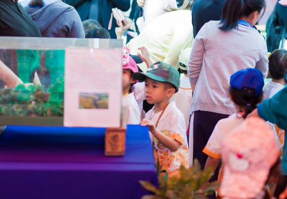 ภาพกิจกรรม นิทรรศการราชภัฏกำแพงเพชรวิชาการครั้งที่ ๑๓ | ศาสตร์พระราชา สู่การพัฒนาอย่างยั่งยืน