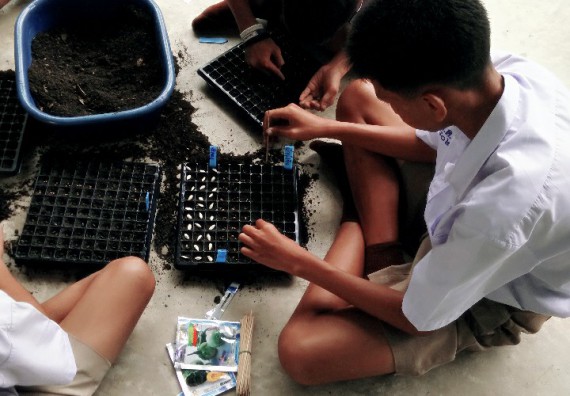 ภาพกิจกรรม โปรแกรมวิชาเกษตรศาสตร์ อบรมโครงการ การขยายพันธุ์พืชผักสวนครัว