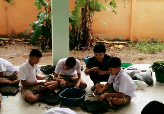 ภาพกิจกรรม โปรแกรมวิชาเกษตรศาสตร์ อบรมโครงการ การขยายพันธุ์พืชผักสวนครัว