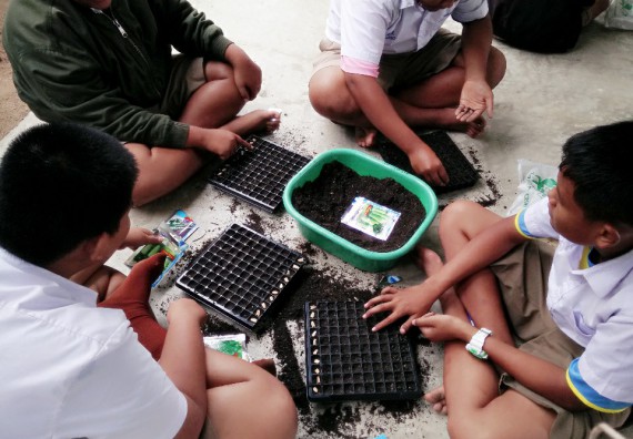 ภาพกิจกรรม โปรแกรมวิชาเกษตรศาสตร์ อบรมโครงการ การขยายพันธุ์พืชผักสวนครัว