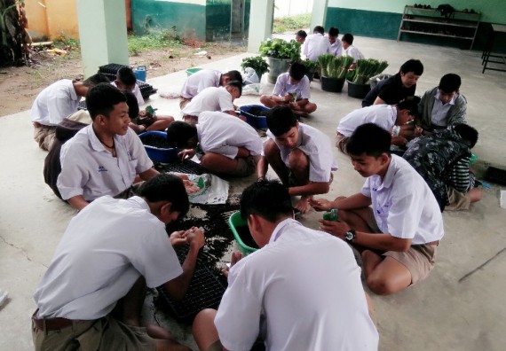 ภาพกิจกรรม โปรแกรมวิชาเกษตรศาสตร์ อบรมโครงการ การขยายพันธุ์พืชผักสวนครัว