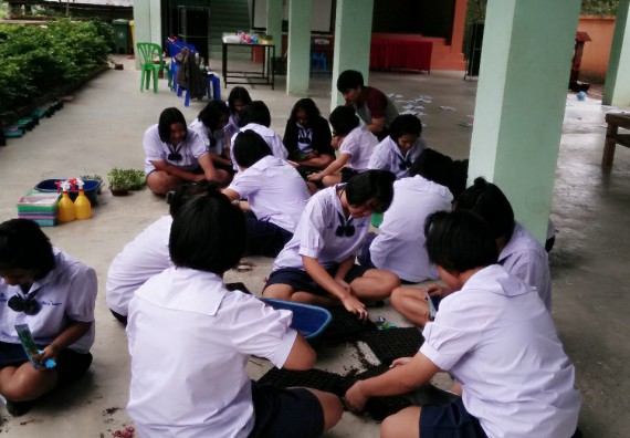 ภาพกิจกรรม โปรแกรมวิชาเกษตรศาสตร์ อบรมโครงการ การขยายพันธุ์พืชผักสวนครัว