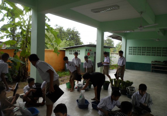 ภาพกิจกรรม โปรแกรมวิชาเกษตรศาสตร์ อบรมโครงการ การขยายพันธุ์พืชผักสวนครัว