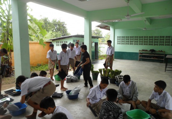 ภาพกิจกรรม โปรแกรมวิชาเกษตรศาสตร์ อบรมโครงการ การขยายพันธุ์พืชผักสวนครัว