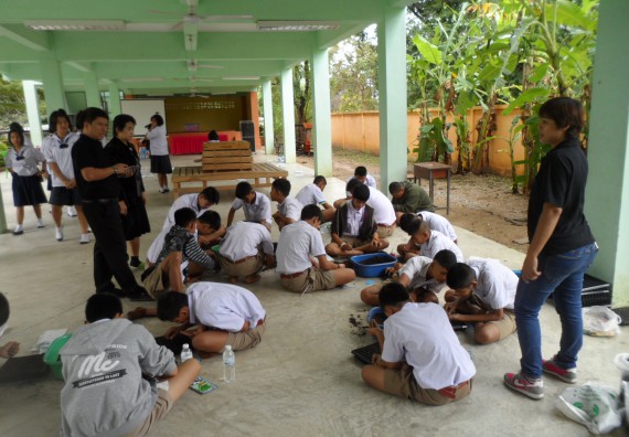 ภาพกิจกรรม โปรแกรมวิชาเกษตรศาสตร์ อบรมโครงการ การขยายพันธุ์พืชผักสวนครัว