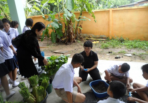 ภาพกิจกรรม โปรแกรมวิชาเกษตรศาสตร์ อบรมโครงการ การขยายพันธุ์พืชผักสวนครัว