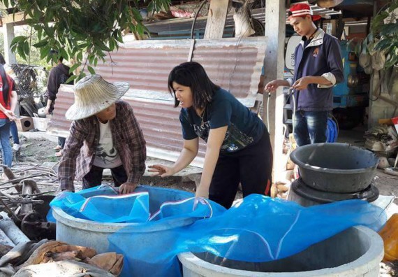 ภาพกิจกรรม โปรแกรมวิชาชีววิทยา ได้จัดกิจกรรมส่งเสริมการเลี้ยงไส้เดือนดิน