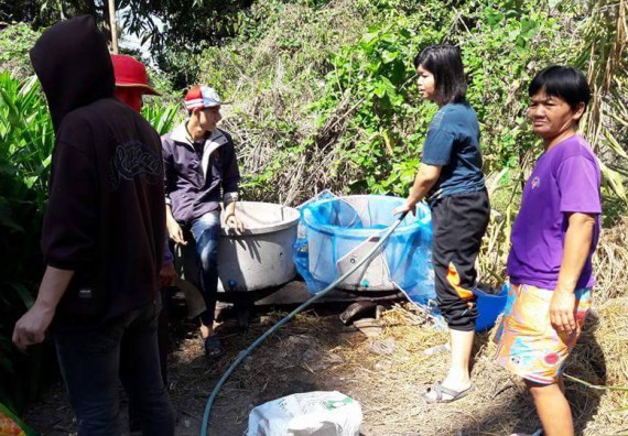 ภาพกิจกรรม โปรแกรมวิชาชีววิทยา ได้จัดกิจกรรมส่งเสริมการเลี้ยงไส้เดือนดิน