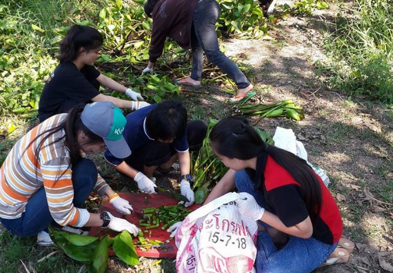 ภาพกิจกรรม โปรแกรมวิชาชีววิทยา ได้จัดกิจกรรมส่งเสริมการเลี้ยงไส้เดือนดิน