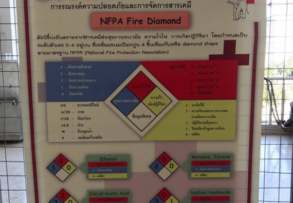 ภาพกิจกรรม ศูนย์วิทยาศาสตร์และวิทยาศาสตร์ประยุกต์ จัดการอบรมเชิงปฏิบัติการการพัฒนาทักษะทางวิทยาศาสตร์