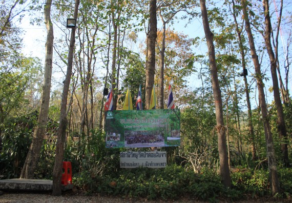 ภาพกิจกรรม โปรแกรมวิชาวิทยาศาสตร์สิ่งแวดล้อม จัดกิจกรรม LOVE ENVIRONMENTAL KPRU