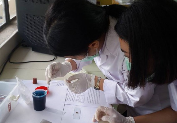 ภาพกิจกรรม โปรแกรมวิชาชีววิทยา จัดการอบรมเชิงปฏิบัติการตรวจหาไข่พยาธิ