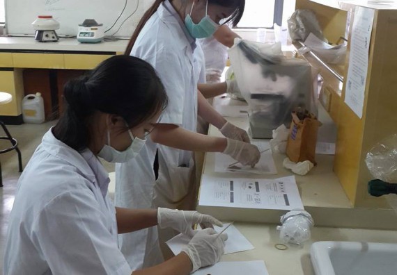 ภาพกิจกรรม โปรแกรมวิชาชีววิทยา จัดการอบรมเชิงปฏิบัติการตรวจหาไข่พยาธิ