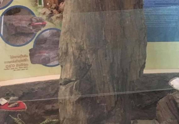 ภาพกิจกรรม โปรแกรมวิชาวิทยาศาสตร์สิ่งแวดล้อม จัดกิจกรรมบูรณาการศึกษาเรียนรู้นอกสถานที่และสัมมนาวิชาการด้านสิ่งแวดล้อม