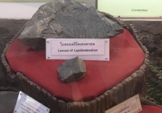 ภาพกิจกรรม โปรแกรมวิชาวิทยาศาสตร์สิ่งแวดล้อม จัดกิจกรรมบูรณาการศึกษาเรียนรู้นอกสถานที่และสัมมนาวิชาการด้านสิ่งแวดล้อม