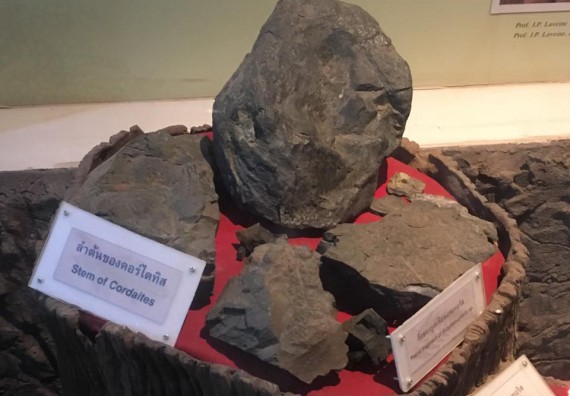 ภาพกิจกรรม โปรแกรมวิชาวิทยาศาสตร์สิ่งแวดล้อม จัดกิจกรรมบูรณาการศึกษาเรียนรู้นอกสถานที่และสัมมนาวิชาการด้านสิ่งแวดล้อม