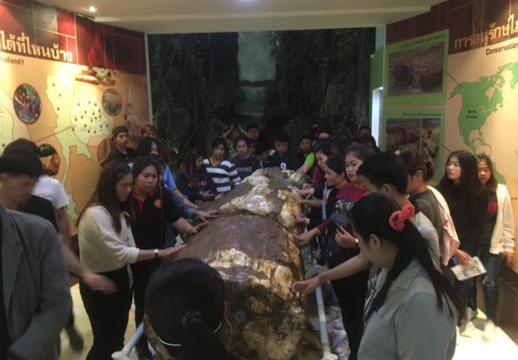 ภาพกิจกรรม โปรแกรมวิชาวิทยาศาสตร์สิ่งแวดล้อม จัดกิจกรรมบูรณาการศึกษาเรียนรู้นอกสถานที่และสัมมนาวิชาการด้านสิ่งแวดล้อม