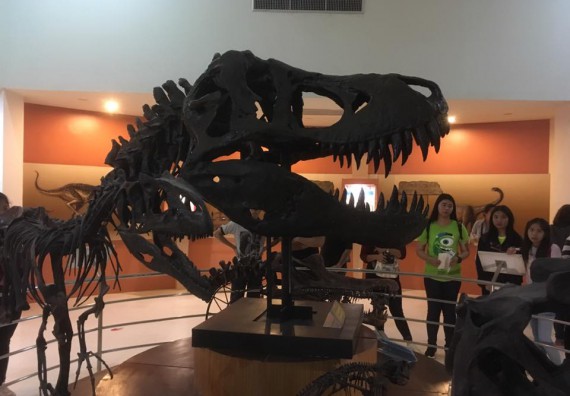 ภาพกิจกรรม โปรแกรมวิชาวิทยาศาสตร์สิ่งแวดล้อม จัดกิจกรรมบูรณาการศึกษาเรียนรู้นอกสถานที่และสัมมนาวิชาการด้านสิ่งแวดล้อม