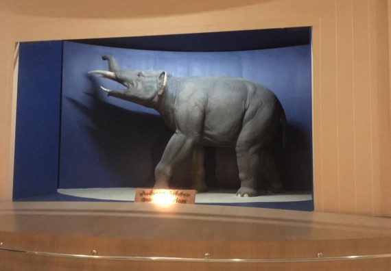 ภาพกิจกรรม โปรแกรมวิชาวิทยาศาสตร์สิ่งแวดล้อม จัดกิจกรรมบูรณาการศึกษาเรียนรู้นอกสถานที่และสัมมนาวิชาการด้านสิ่งแวดล้อม