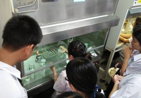 ภาพกิจกรรม โปรแกรมวิชาชีววิทยา ได้มีการจัดค่ายเทคนิคปลอดเชื้อและเพาะเลี้ยงเนื้อเยื่อพืช